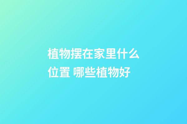 植物摆在家里什么位置 哪些植物好